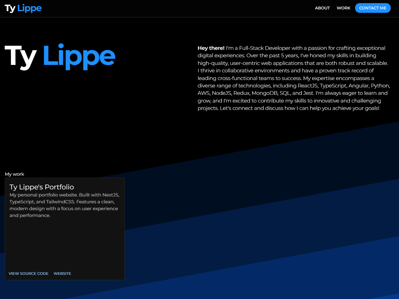 Ty Lippe's Portfolio